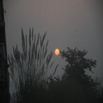 Vraj-Yatra-2014- (1540)